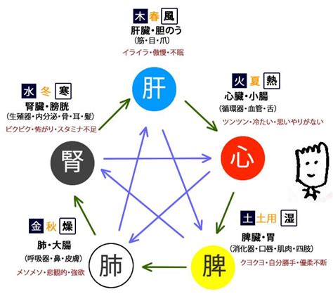 動物五行|五行